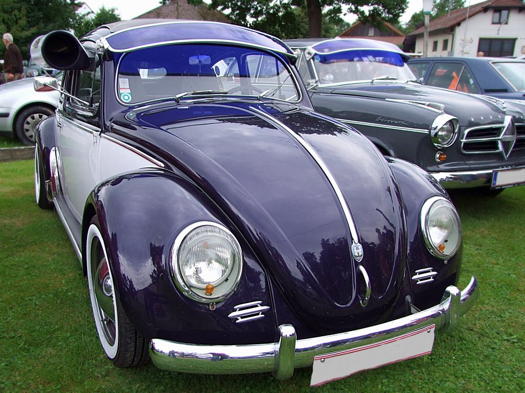 VW Kaefer